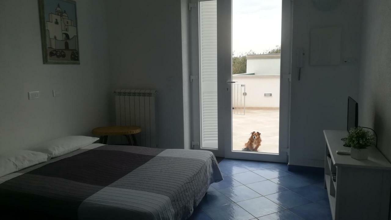 Citara Mare Villa Forio  Ngoại thất bức ảnh